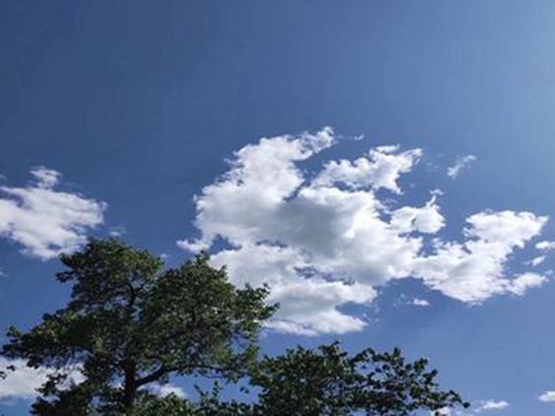 甘肅省去年的環(huán)境報(bào)告中空氣質(zhì)量良好
